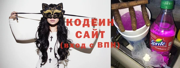 гашик Михайлов