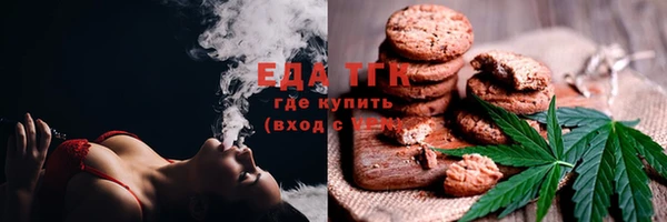 гашик Михайлов