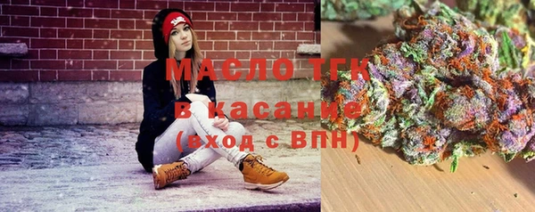гашик Михайлов