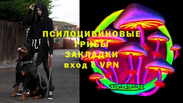 трава Михайловск