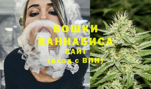 гашик Михайлов