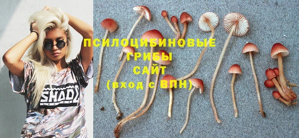 трава Михайловск