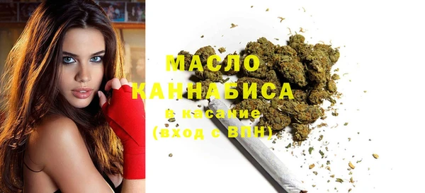 гашик Михайлов