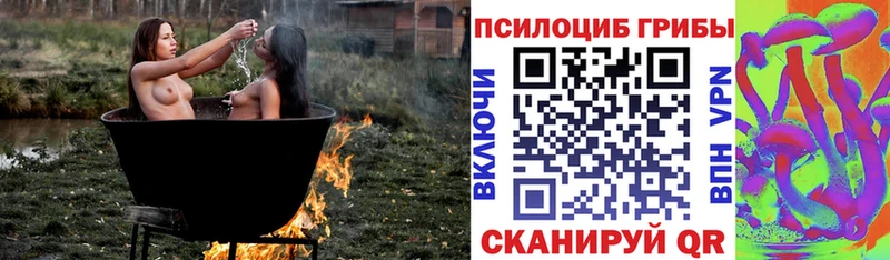 Псилоцибиновые грибы Psilocybine cubensis  Купить  Камешково 